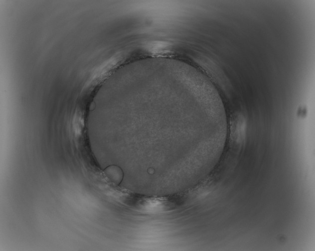 X0000112850618200909041531