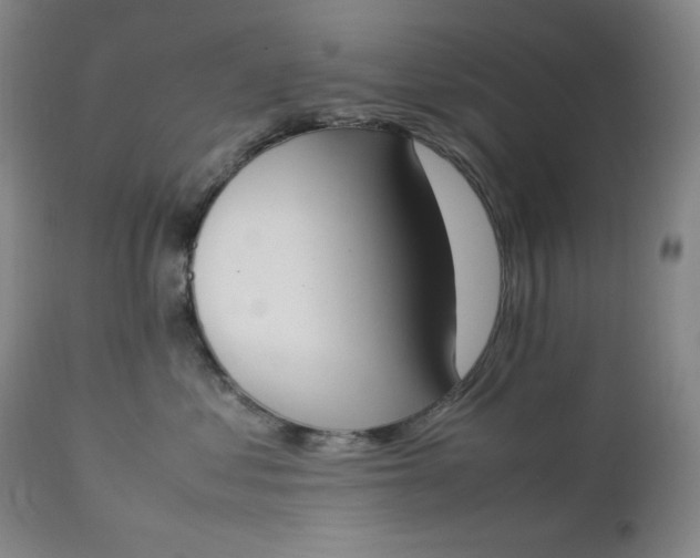 X0000112850621200909041531