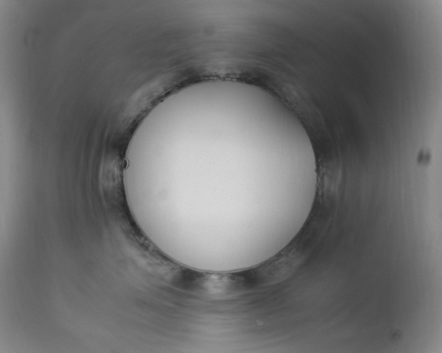 X0000112850623200909041531