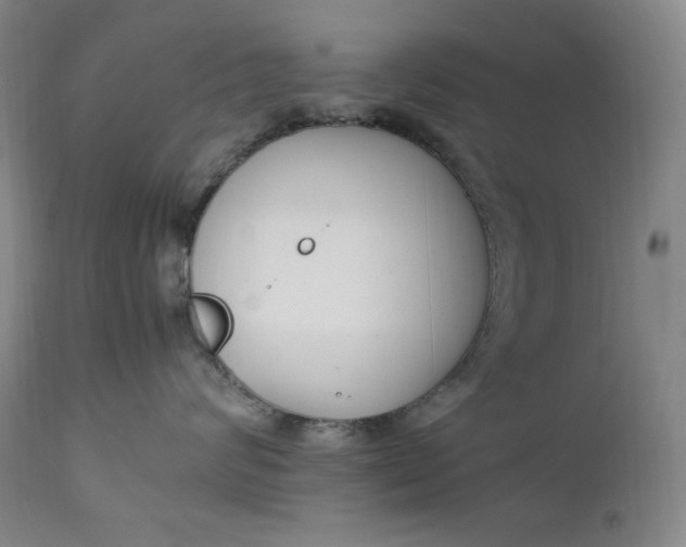 X0000112850624200909041531