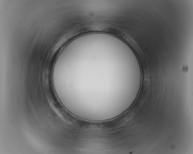 X0000112850626200909041530