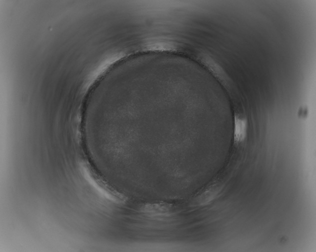 X0000112850627200909041530