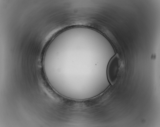 X0000112850628200909041530