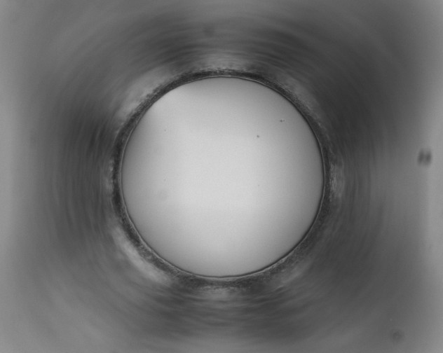 X0000112850629200909041530