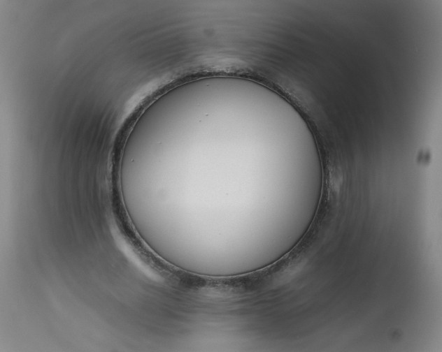 X0000112850630200909041530