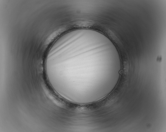 X0000112850634200909041530