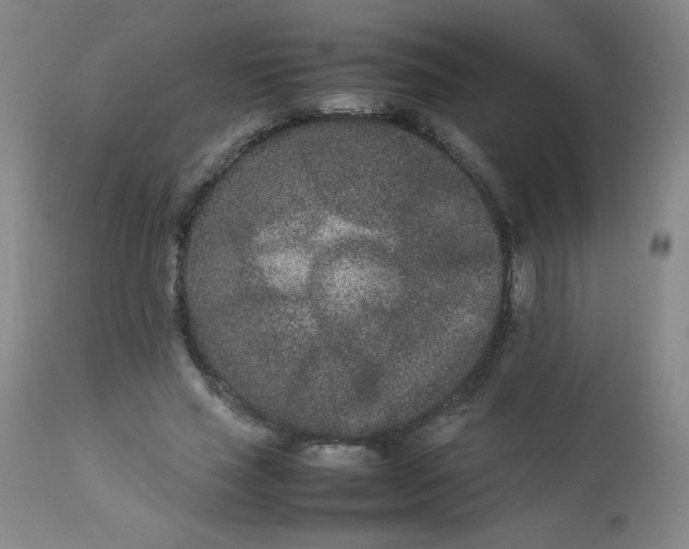 X0000112850637200909041530