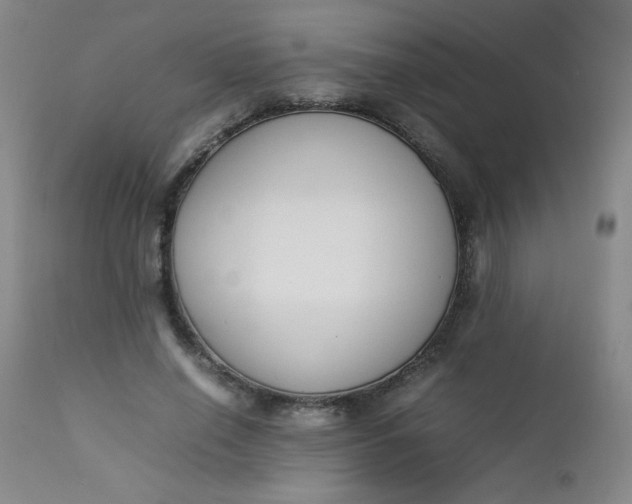 X0000112850638200909041530