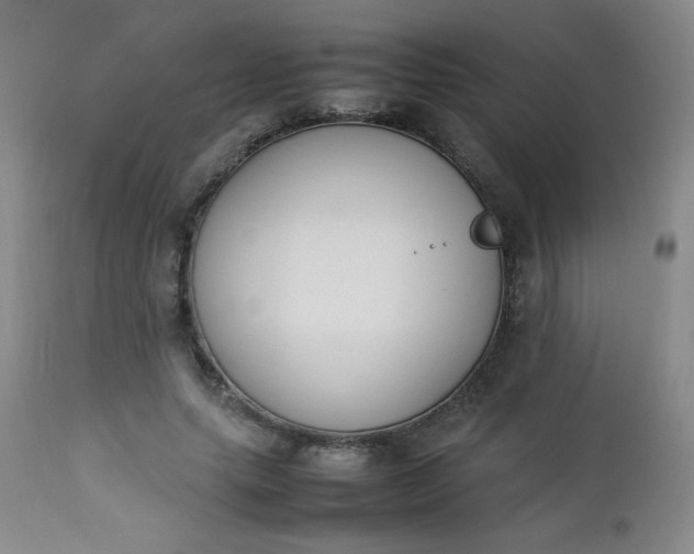 X0000112850639200909041530