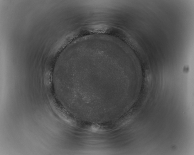 X0000112850641200909041530