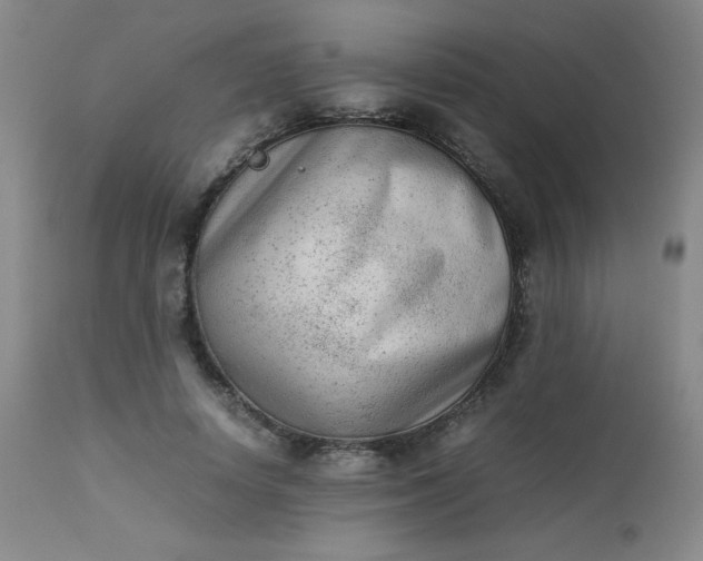 X0000112850642200909041530