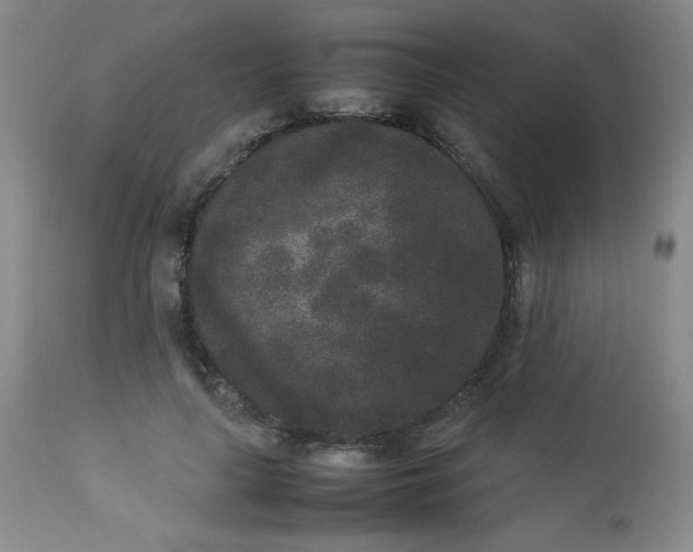 X0000112850643200909041530