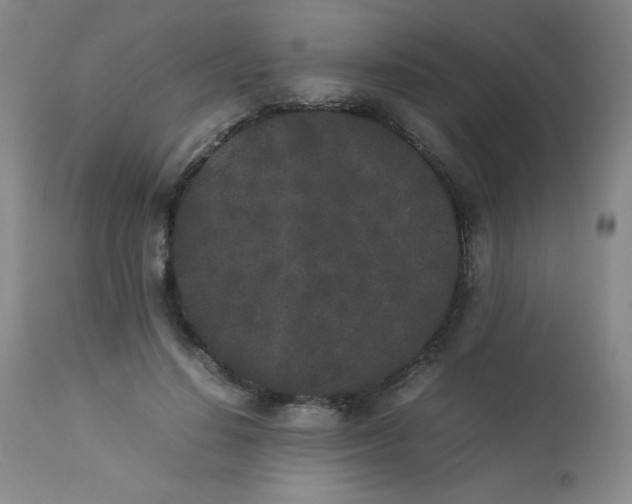 X0000112850644200909041530