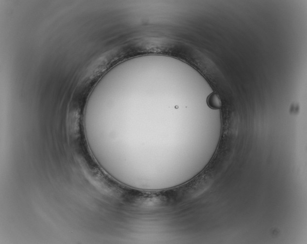 X0000112850646200909041530