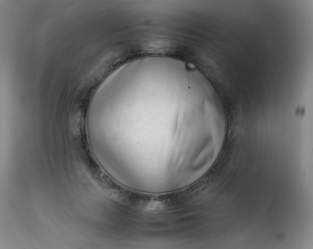 X0000112850647200909041530