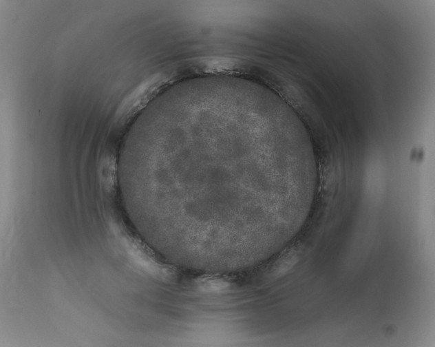 X0000112850648200909041530