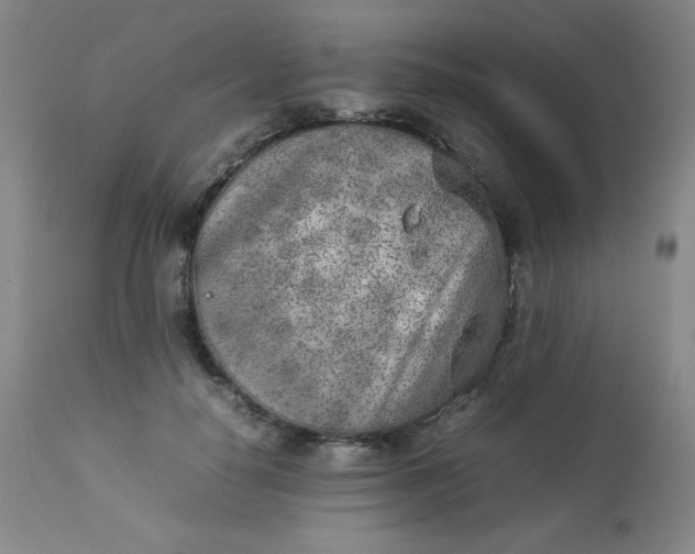 X0000112850650200909041530