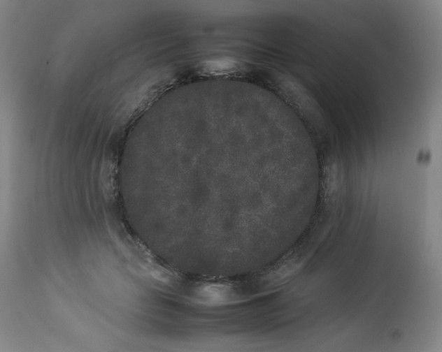 X0000112850653200909041530