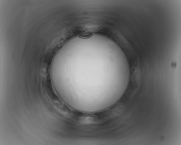 X0000112850655200909041530