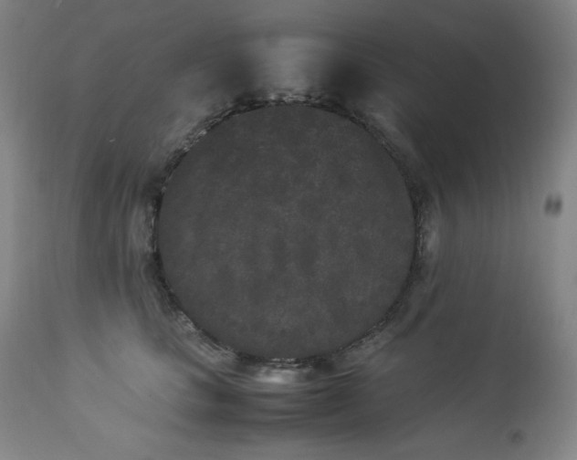 X0000112850661200909041530