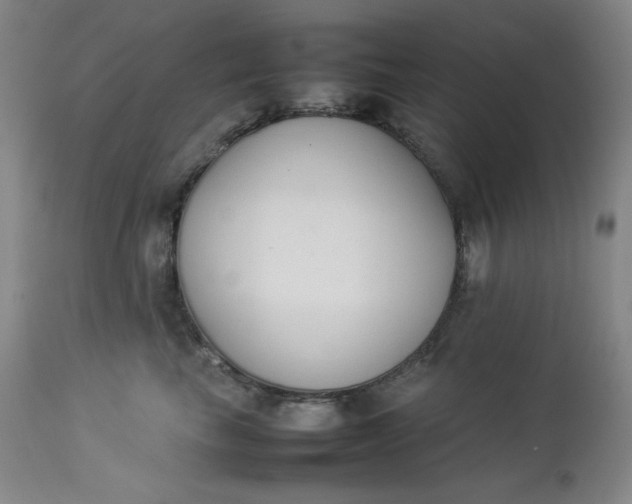 X0000112850665200909041530