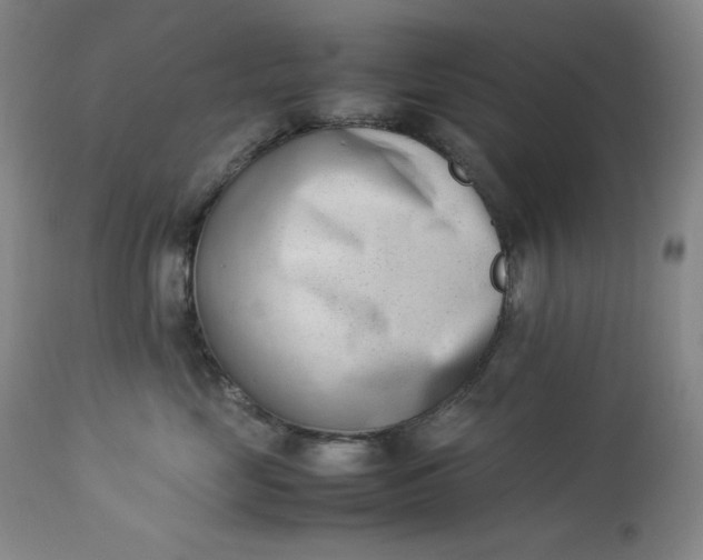 X0000112850669200909041531