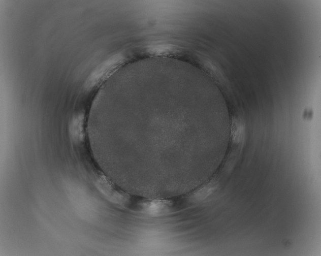 X0000112850670200909041531