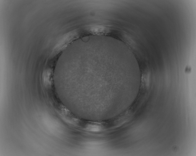 X0000112850671200909041531