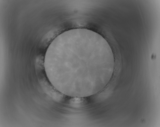 X0000112850672200909041531