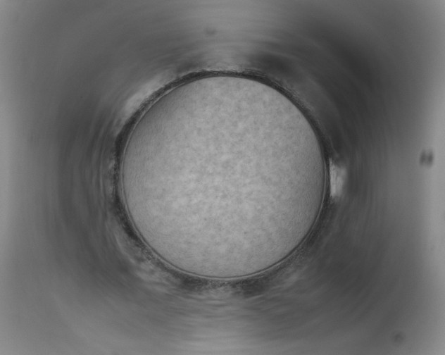 X0000112850675200909041530