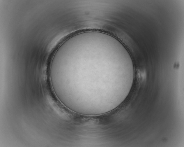 X0000112850676200909041530