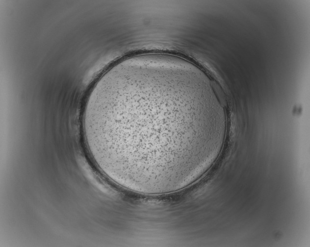 X0000112850677200909041530