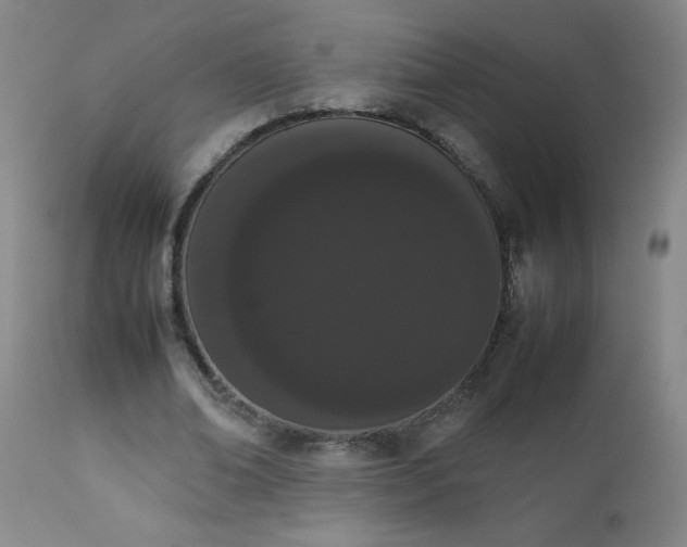 X0000112850678200909041530