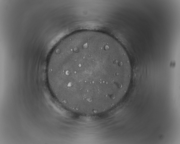 X0000112850679200909041530