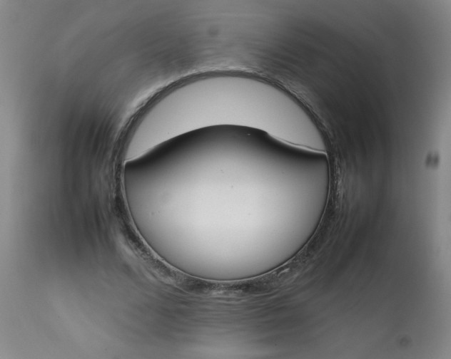 X0000112850680200909041530