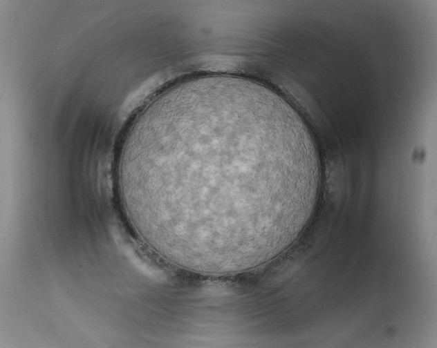 X0000112850682200909041530