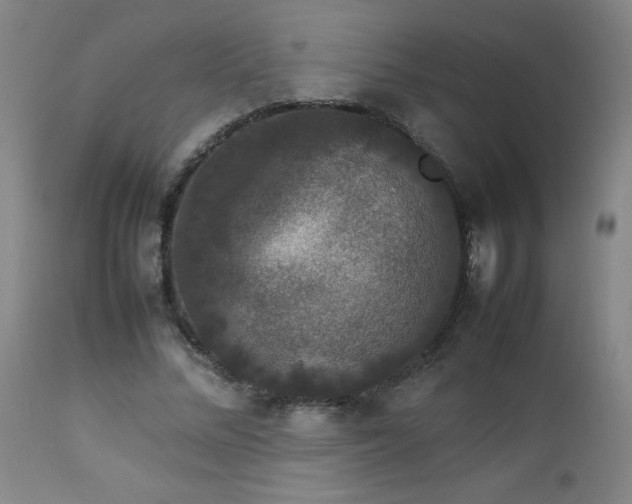 X0000112850684200909041530