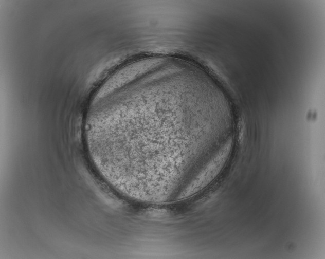 X0000112850685200909041530