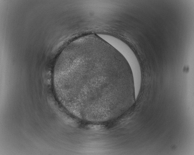 X0000112850689200909041530