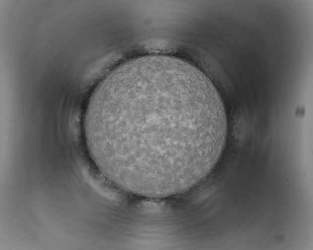 X0000112850690200909041530