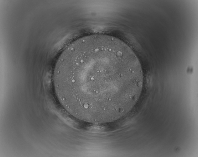 X0000112850691200909041530