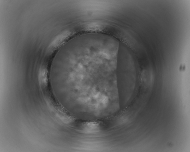 X0000112850692200909041530