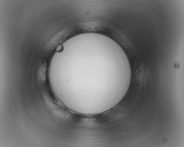 X0000112850694200909041530