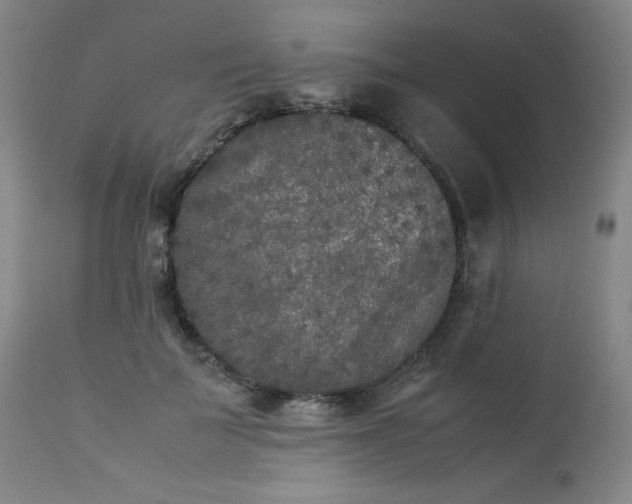 X0000112850699200909041530