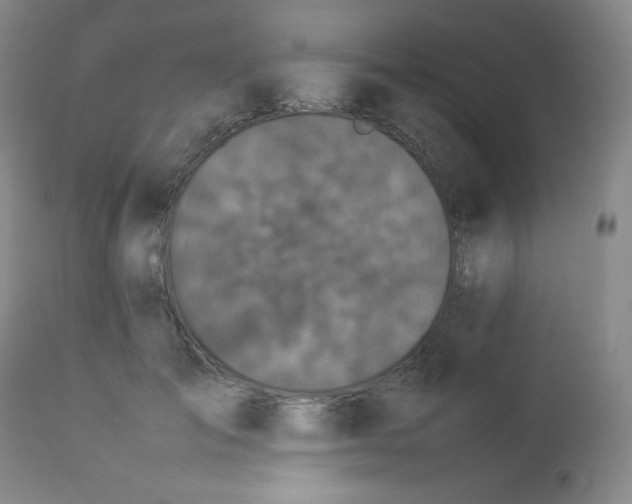 X0000112850701200909041530