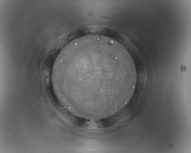 X0000112850703200909041530