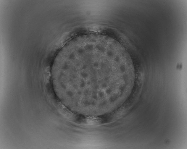 X0000112850707200909041529