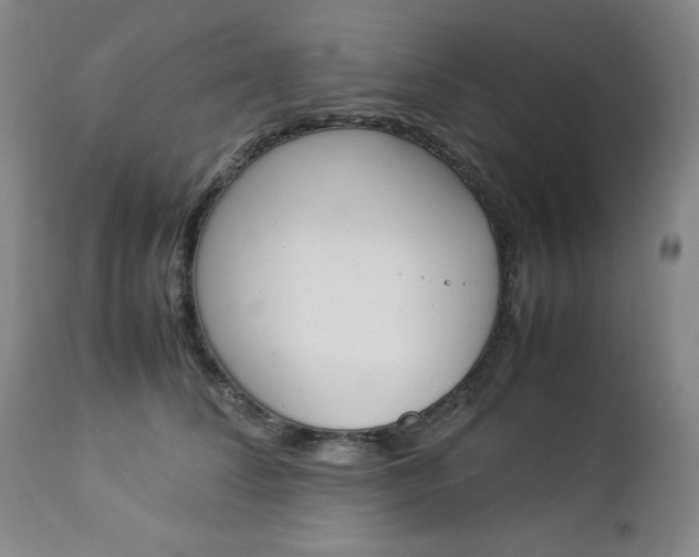 X0000112850708200909041529