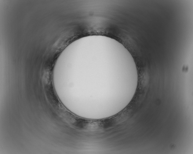 X0000112850709200909041529