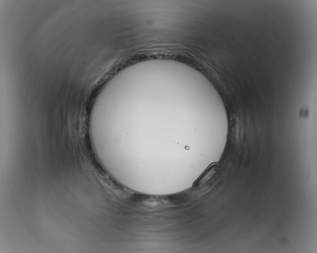 X0000112850712200909041529